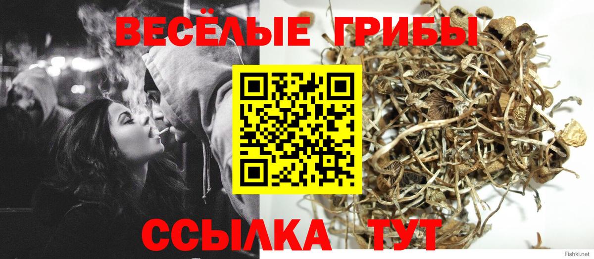 Галлюциногенные грибы GOLDEN TEACHER  Вход с VPN  Свободный 